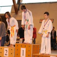 Judo 2013 085